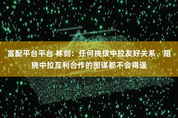富配平台平台 林剑：任何挑拨中拉友好关系、阻挠中拉互利合作的图谋都不会得逞