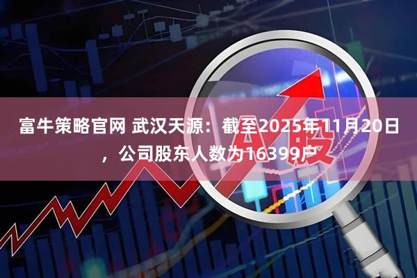 富牛策略官网 武汉天源：截至2025年11月20日，公司股东人数为16399户