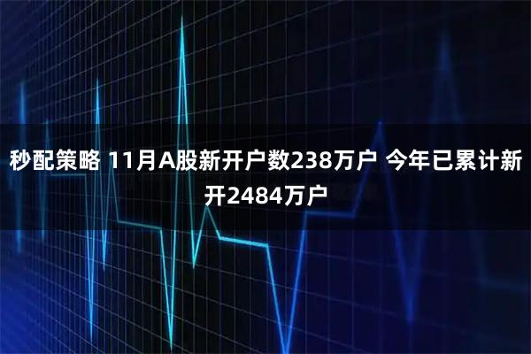 秒配策略 11月A股新开户数238万户 今年已累计新开2484万户